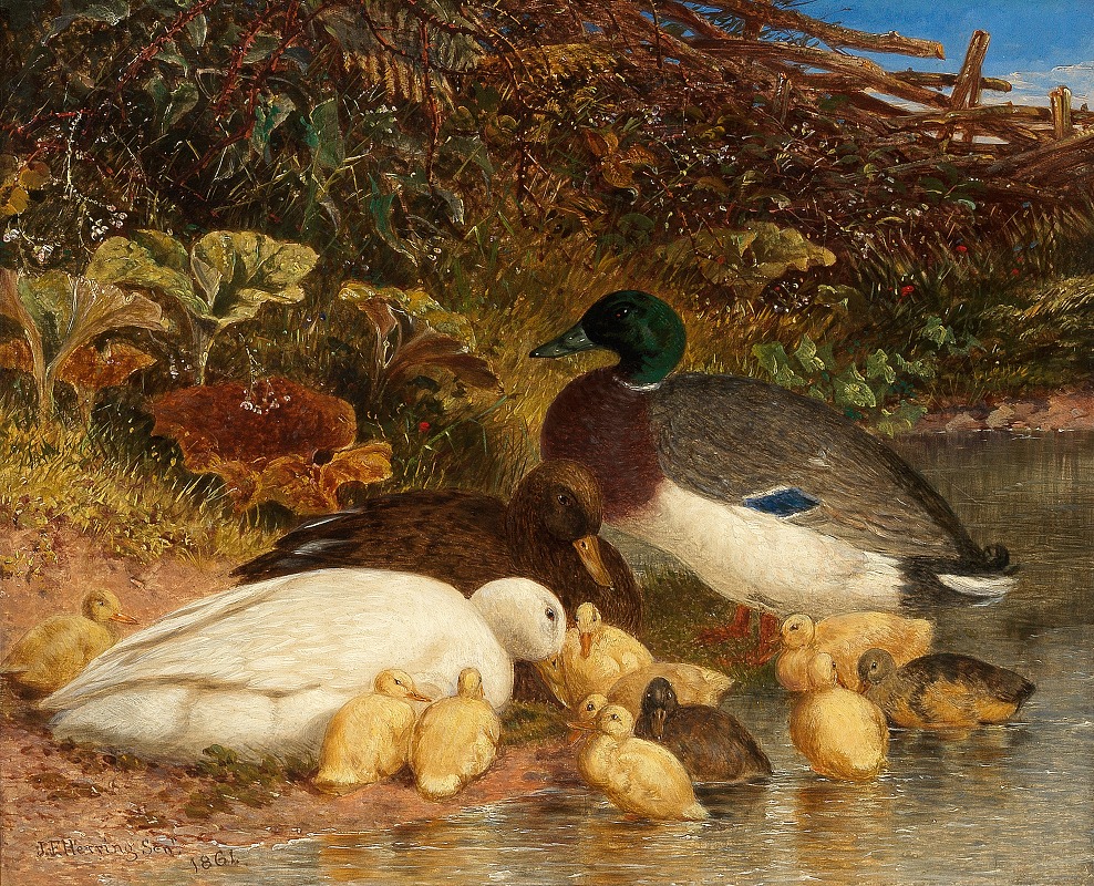Ducks and ducklings by a pond by Джон Фредерик Херринг-старший, 1861 — digital art print download