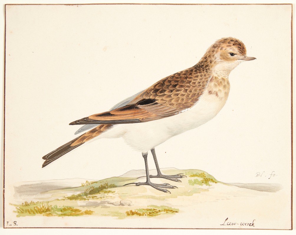 En sanglærke alauda arvensis by Pieter Holsteijn — digital art print download
