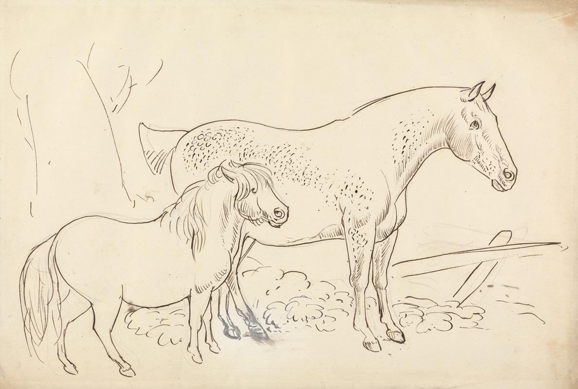 Horse and Pony by Джеймс Хоу — digital art print download