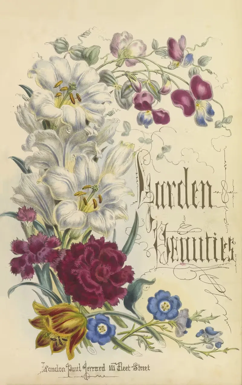 Garden beauties - Title by Paul Jerrard, 1857 — digital art print download