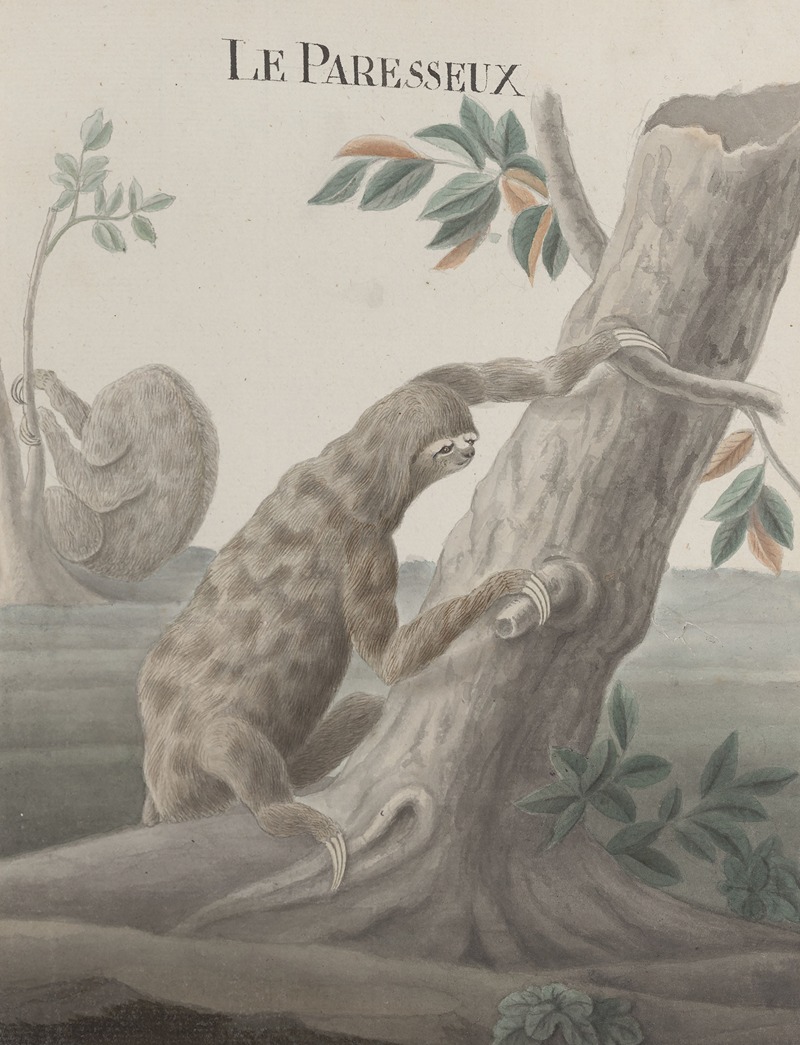 Natural history of Saint Domingue Pl.059 by René de Rabié, 1766 — digital art print download