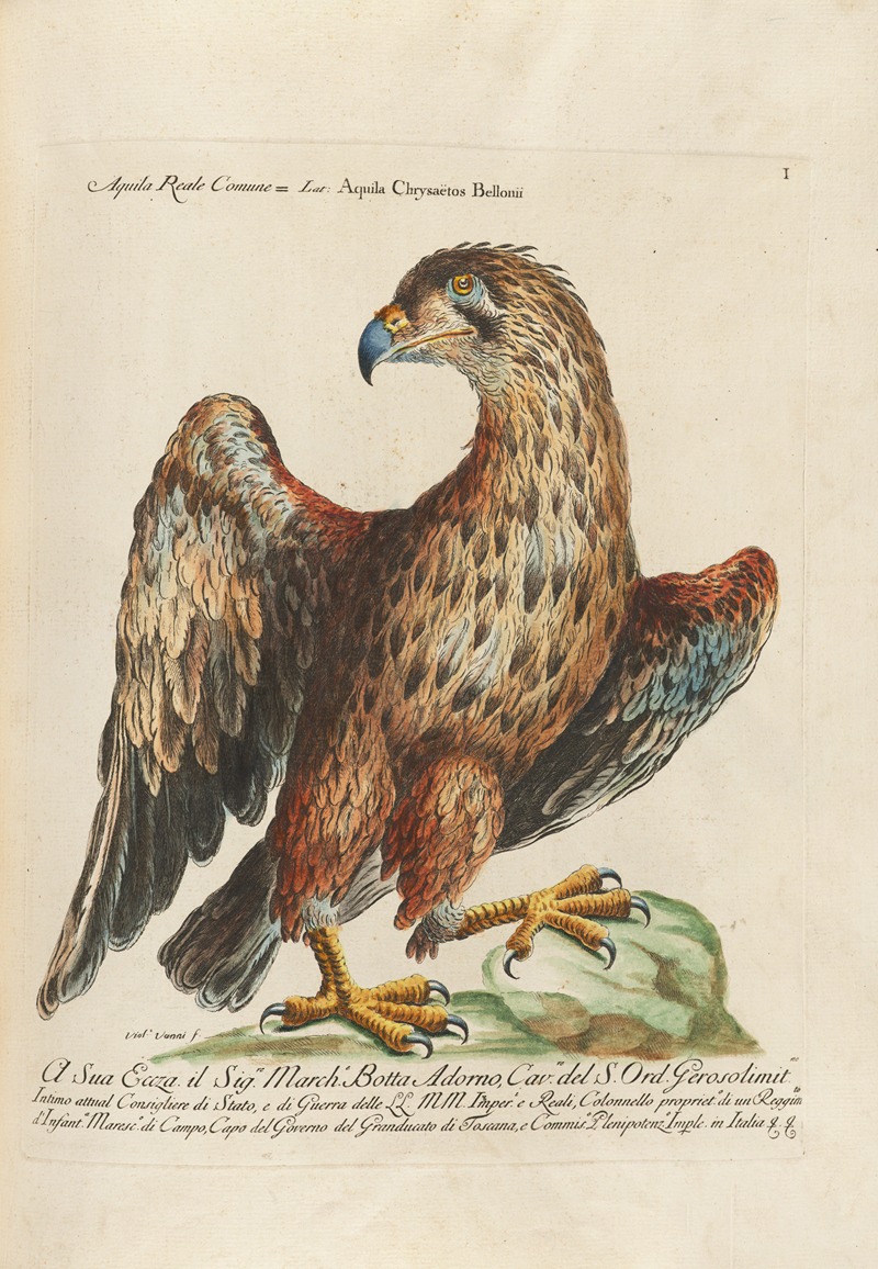 Ornithologia methodice digesta Pl.001 by Saverio Manetti, 1767-1776 — digital art print download