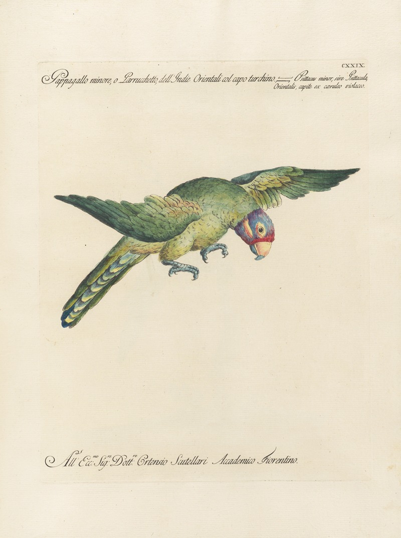 Ornithologia methodice digesta Pl.126 by Saverio Manetti, 1767-1776 — digital art print download