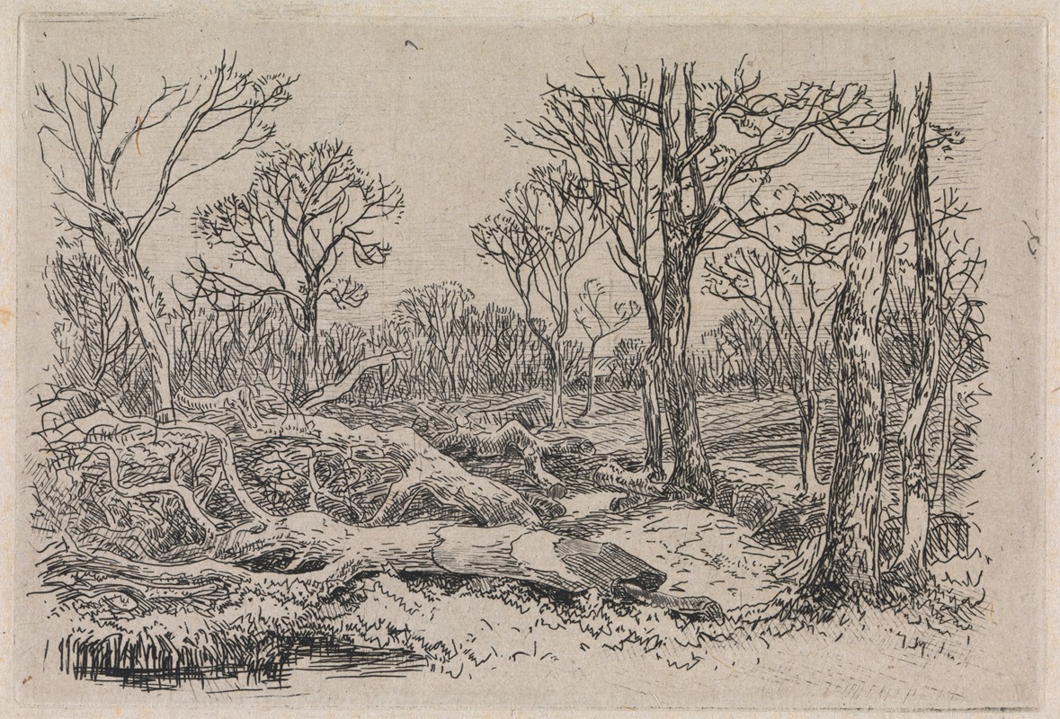 Felled Timber, Burningham by Джон Миддлтон — digital art print download