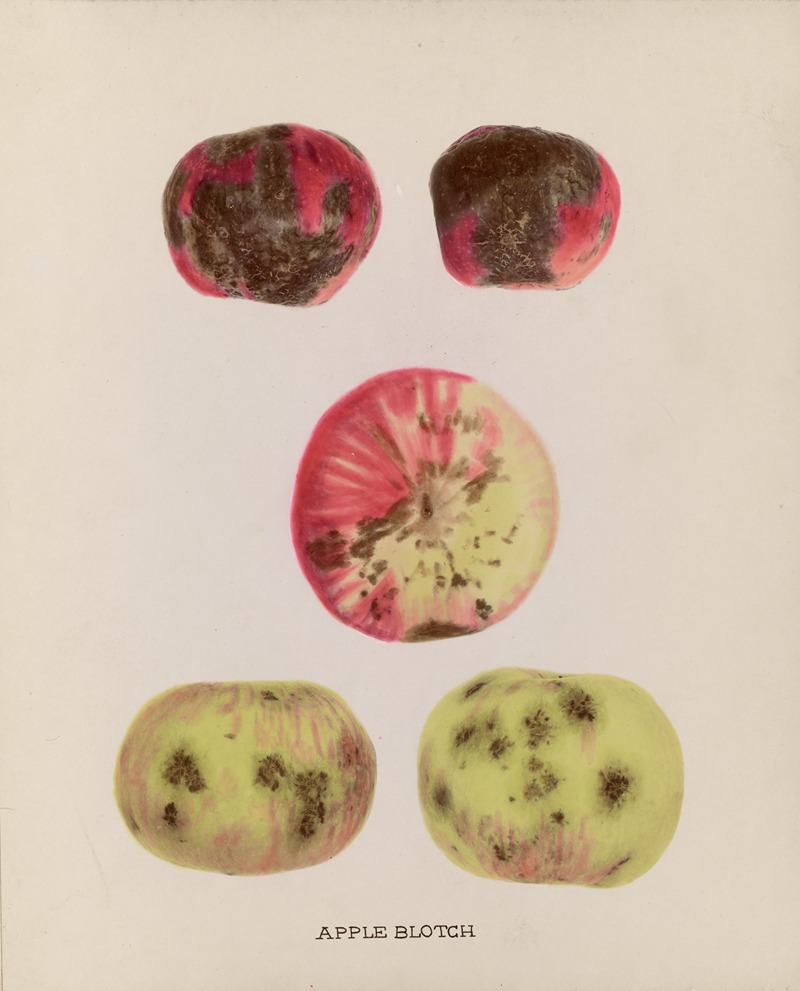 Apple Blotch by U.S. Bureau of Plant Industry, 1920 — digital art print download