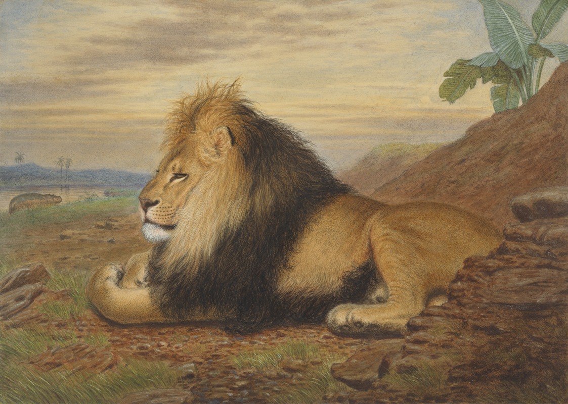A Lion by Thomas William Wood — digital art print download