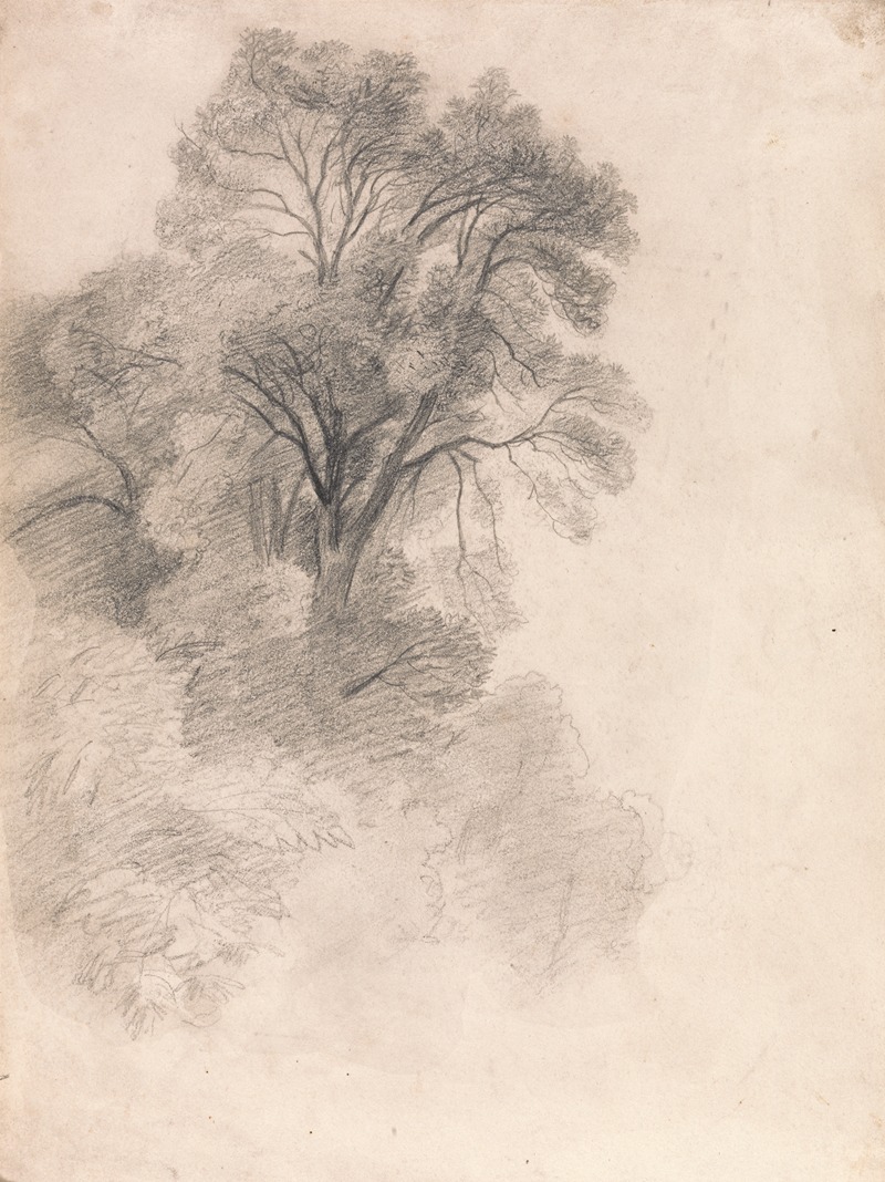 Study of Ash Trees by Лайонел Констебл — digital art print download