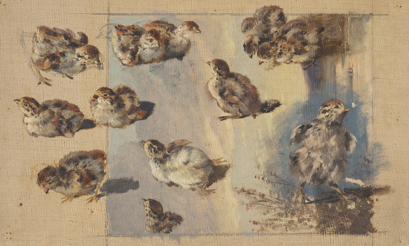 Study of Chicks by Фридрих Карл фон Шейдлин, 1840 — digital art print download