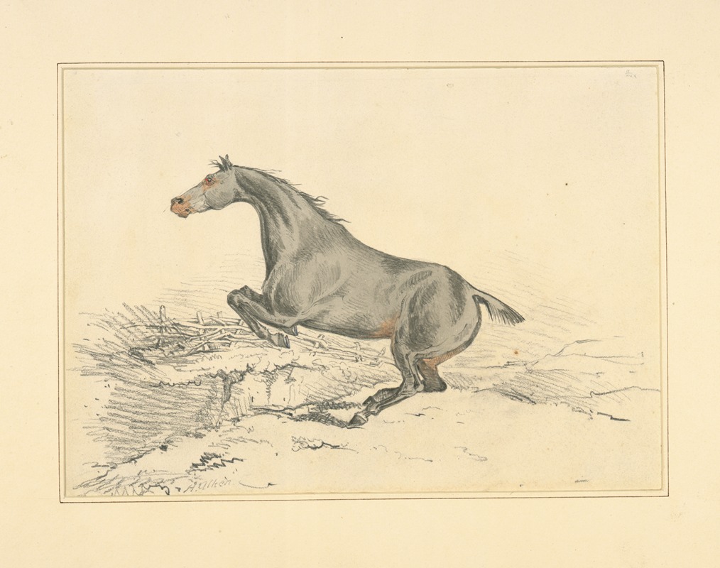 Jumping horse by Генри Томас Алкен, 1820 - 1830 — digital art print download