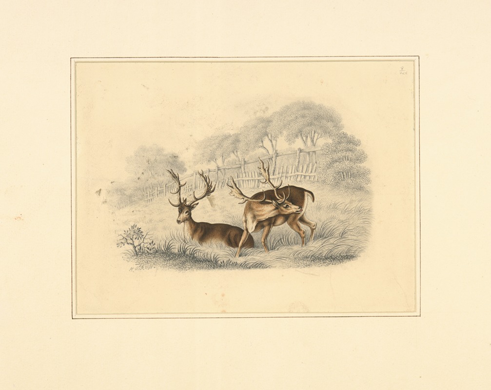 Two deer, near a running fence — Henry Thomas Alken