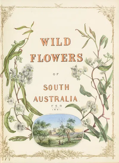 Wild flowers of South Australia - cover by Fanny Elizabeth de Mole, 1861 — digital art print download
