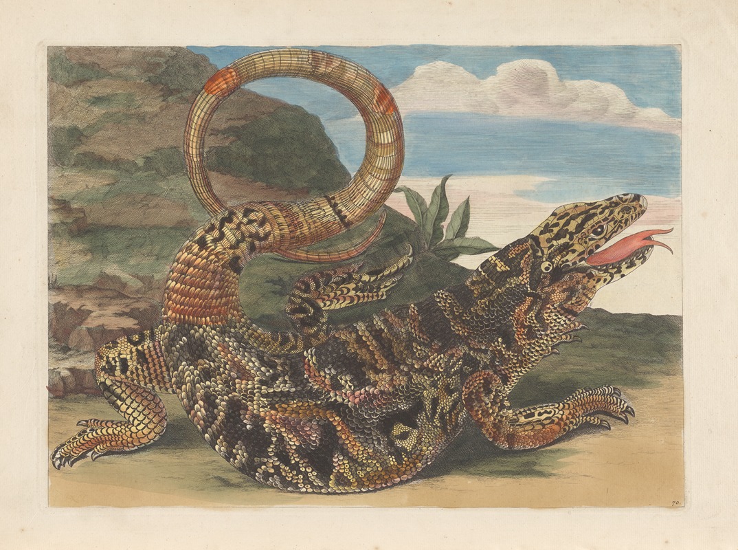 Dissertation sur la generation et les transformations des insectes de Surinam Pl.21 — Maria Sibylla Merian