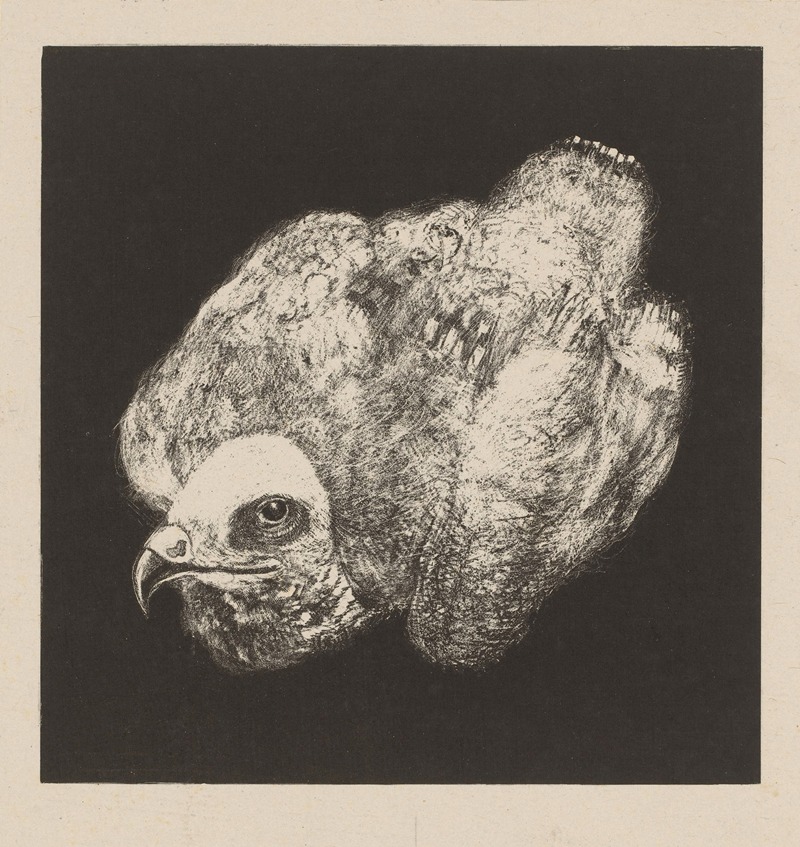 Kiekendief by Тео ван Хойтема, 1878 - 1917 — digital art print download
