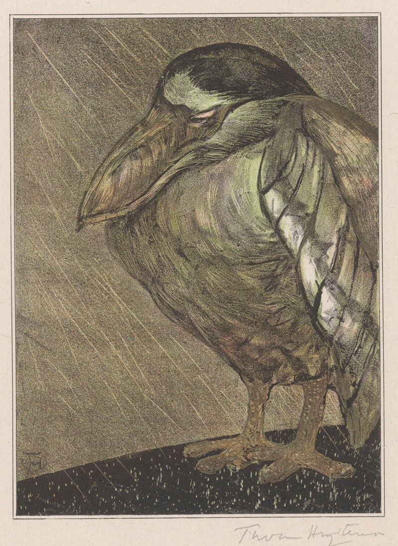 Schuitbekreiger in de regen — Тео ван Хойтема