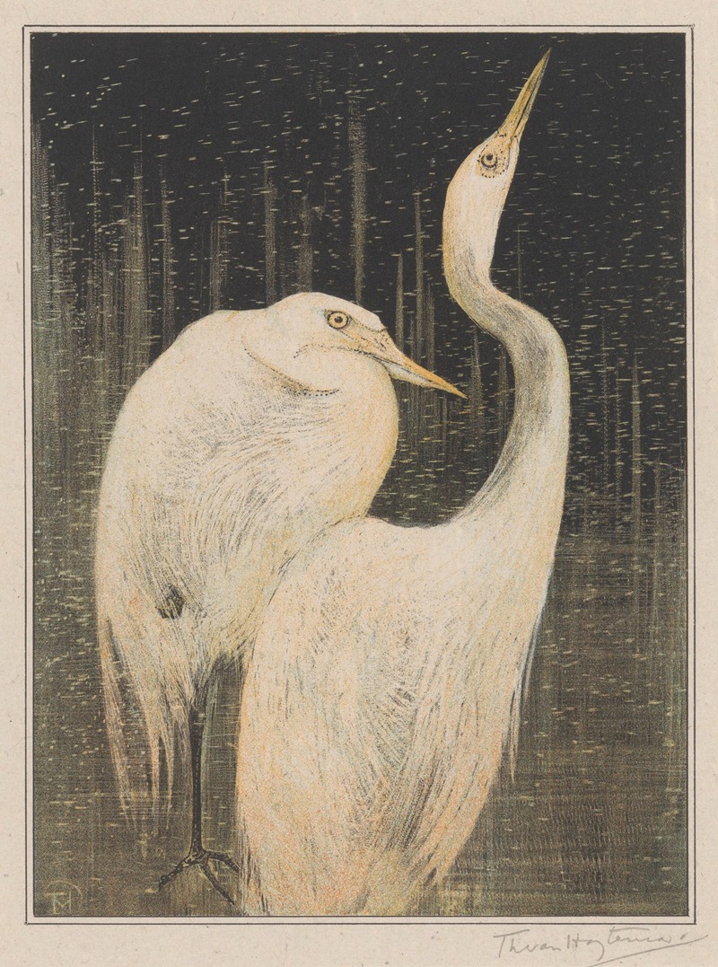 Twee zilverreigers by Тео ван Хойтема, 1878 - 1905 — digital art print download
