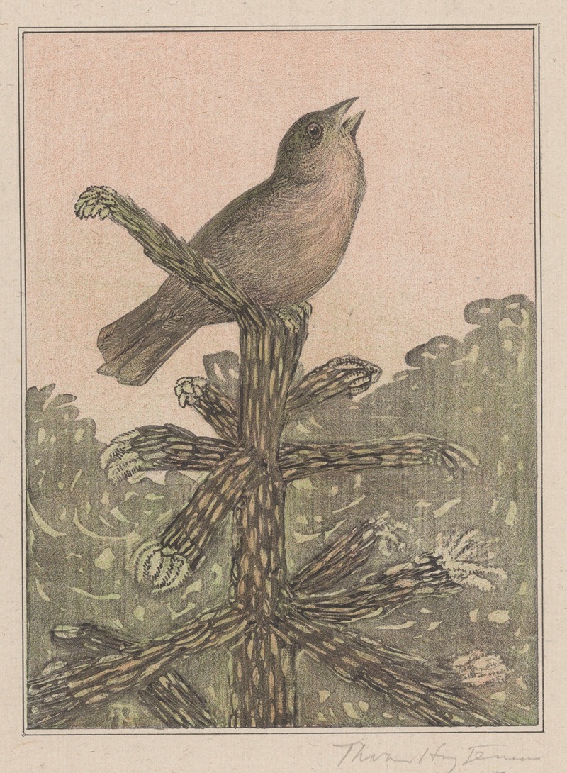 Zingende vogel op naaldboom by Тео ван Хойтема, 1878 - 1906 — digital art print download