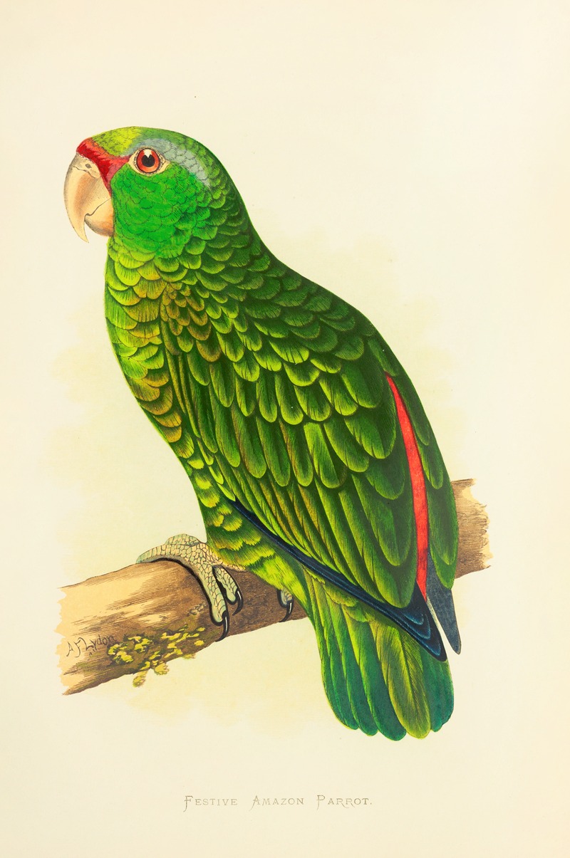 Festive Amazon Parrot by Alexander Francis Lydon, 1884-1887 — digital art print download