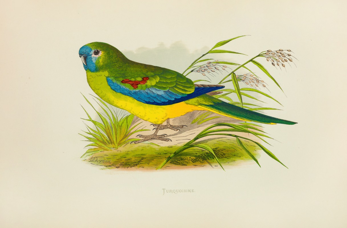 Turquoisine by Alexander Francis Lydon, 1884-1887 — digital art print download