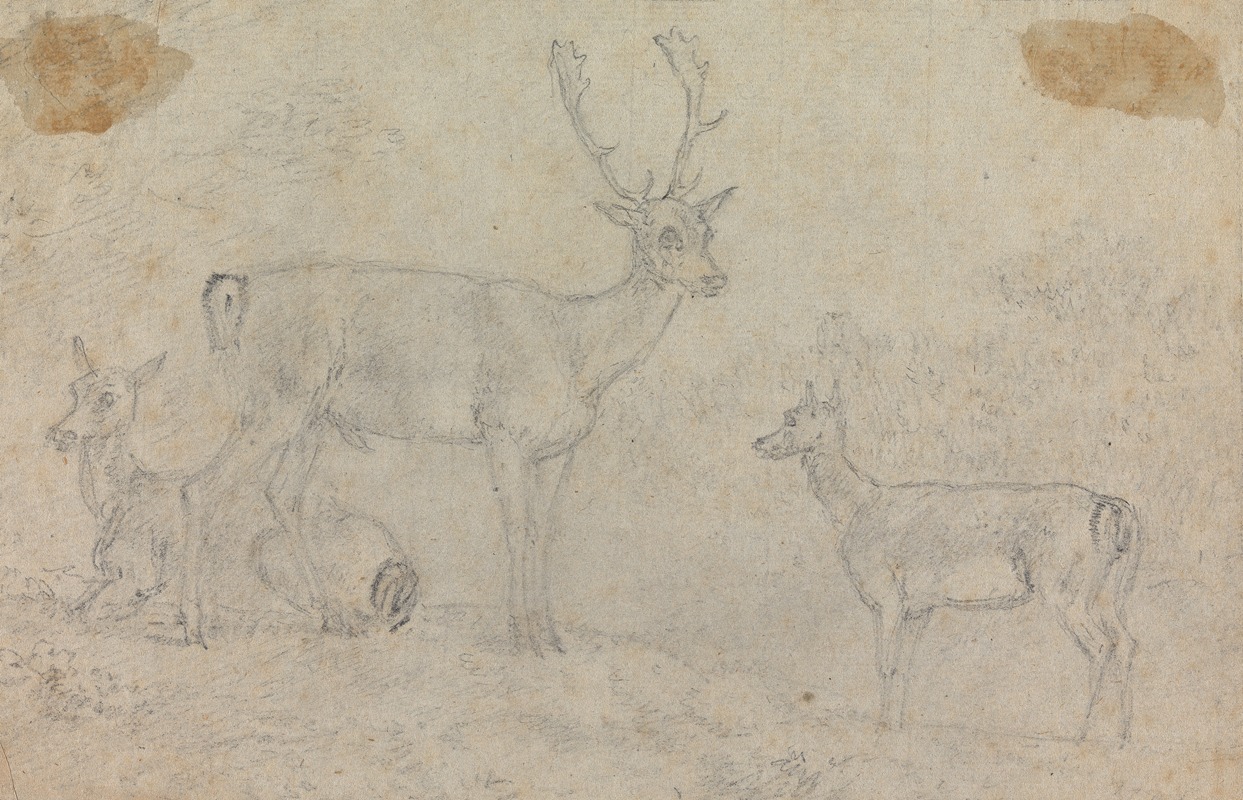 A Buck and Two Deer by Sawrey Gilpin, 1760 — digital art print download