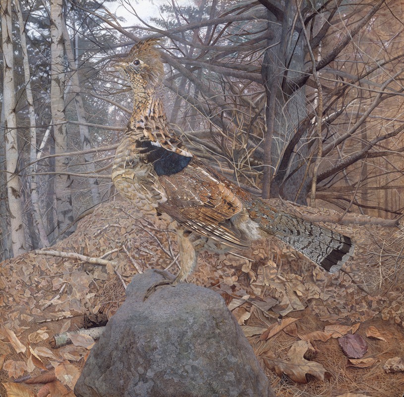 Male Ruffed Grouse in the Forest — Gerald Thayer