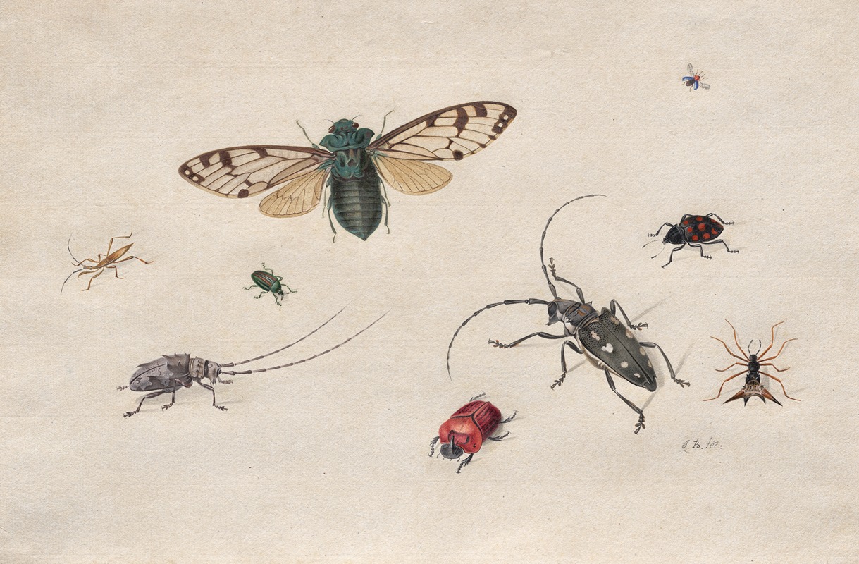 Studies of Insects by Johannes van Bronckhorst — digital art print download