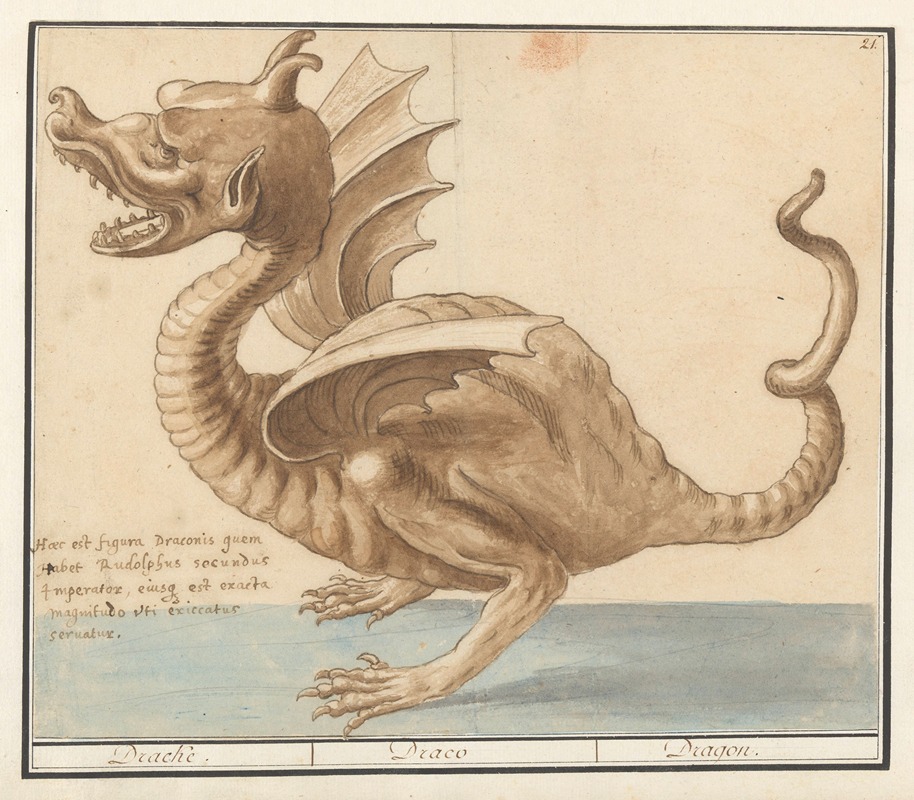 Draak Dracke Draco Dragon by Anselmus Boëtius de Boodt, 1596-1610 — digital art print download
