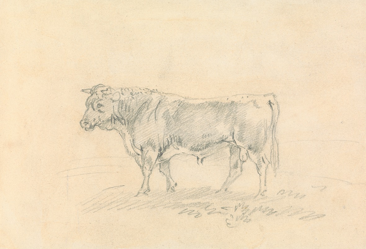 Bull by Сорей Гилпин — digital art print download