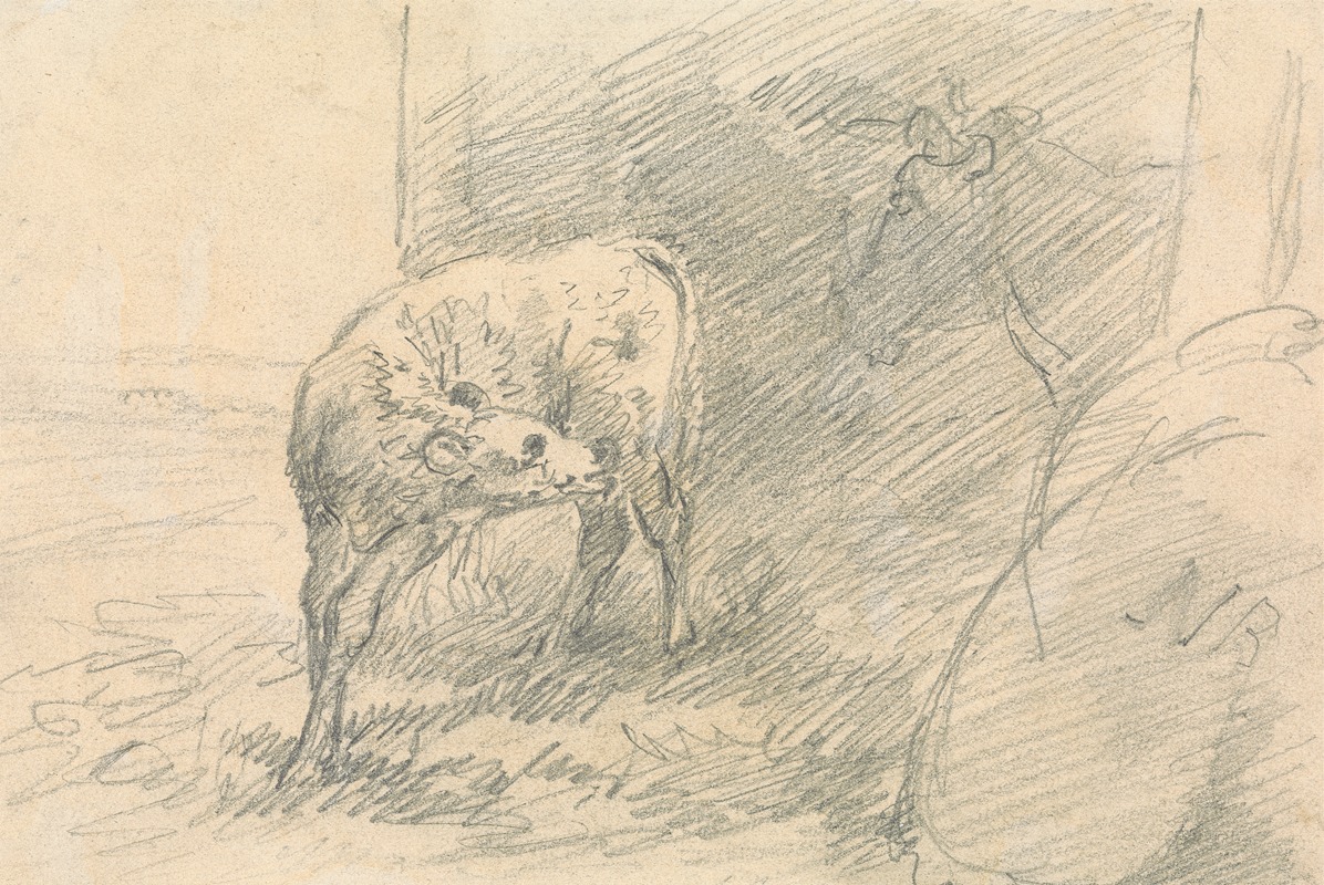 Calf, with Head of a Cow — Sawrey Gilpin