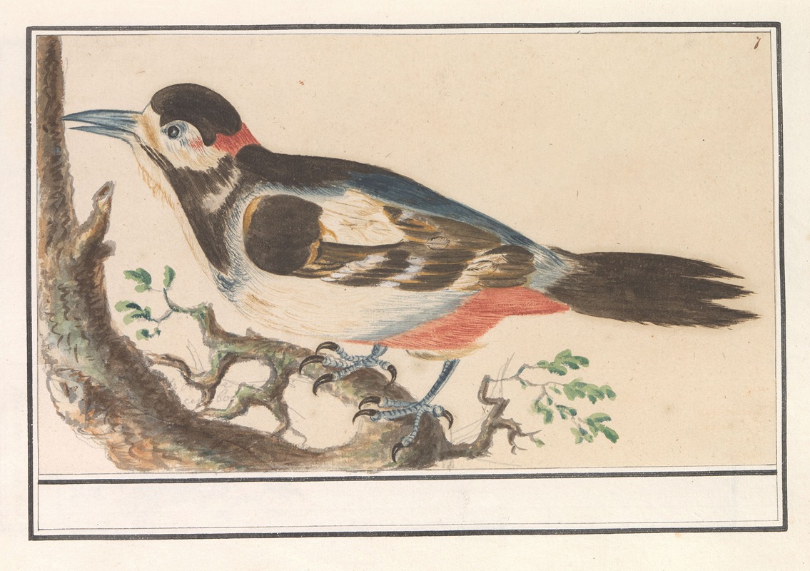 Onbekende vogel. by Anselmus Boëtius de Boodt, 1596-1610 — digital art print download
