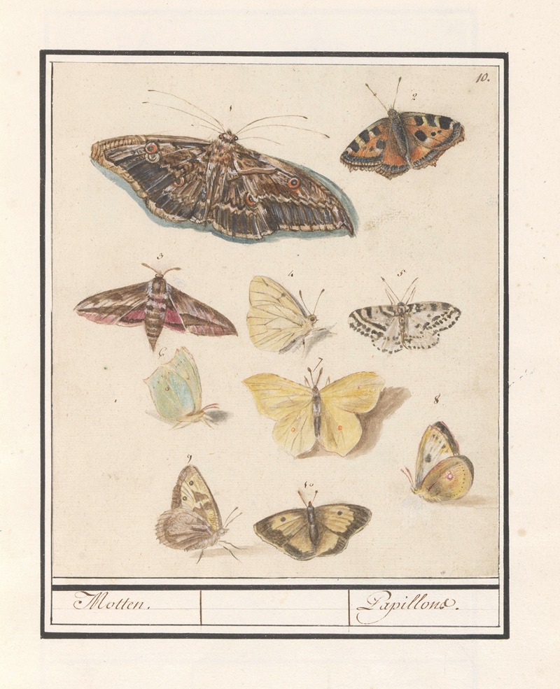 Vlinders en motten Motten. Papillons. — Anselmus Boëtius de Boodt