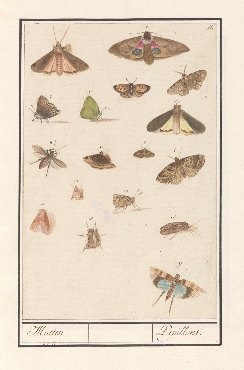 Vlinders en motten Motten. Papillons — Anselmus Boëtius de Boodt
