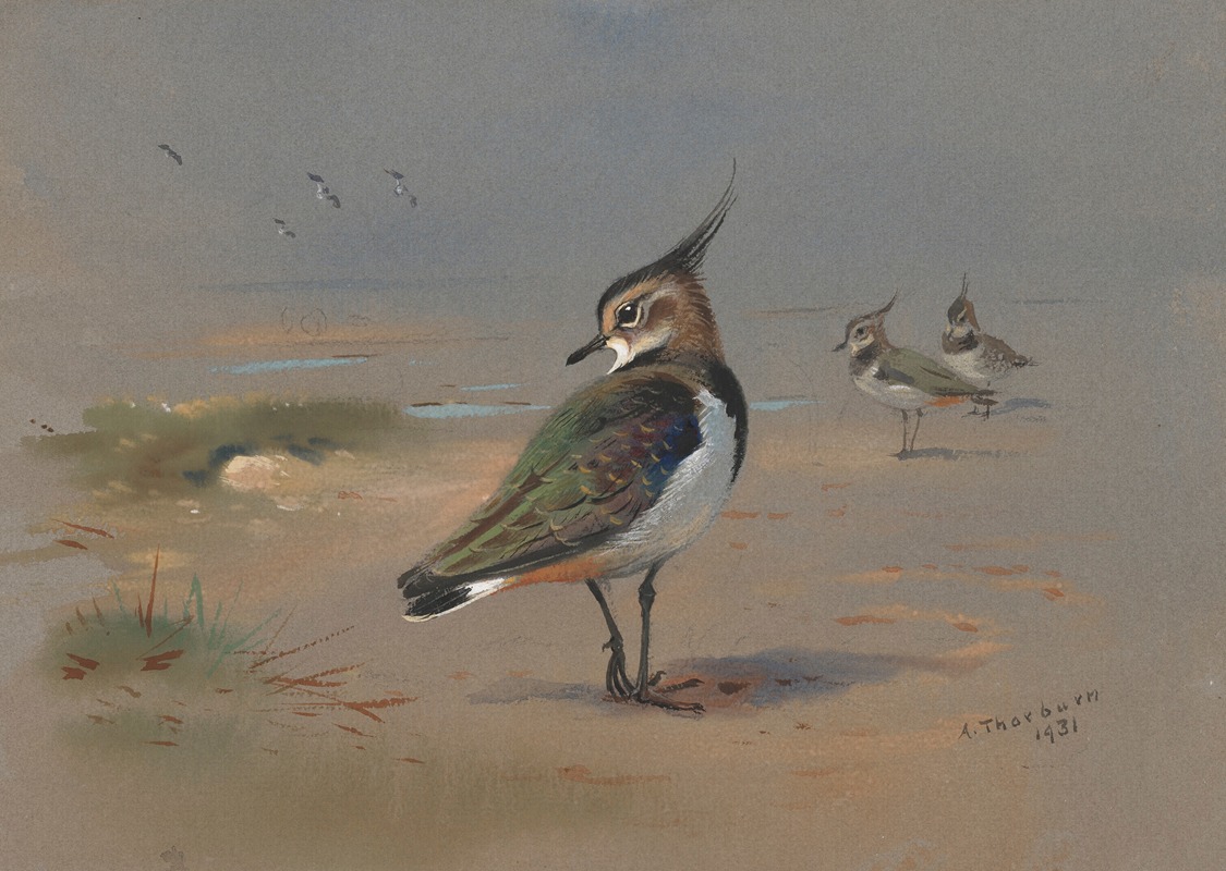 Green Plovers by Арчибальд Торберн, 1931 — digital art print download