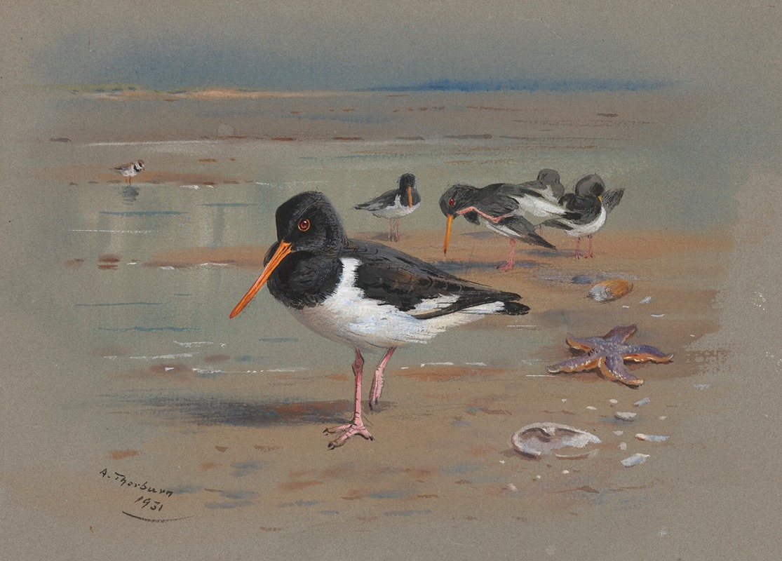 Oyster Catchers by Арчибальд Торберн, 1931 — digital art print download