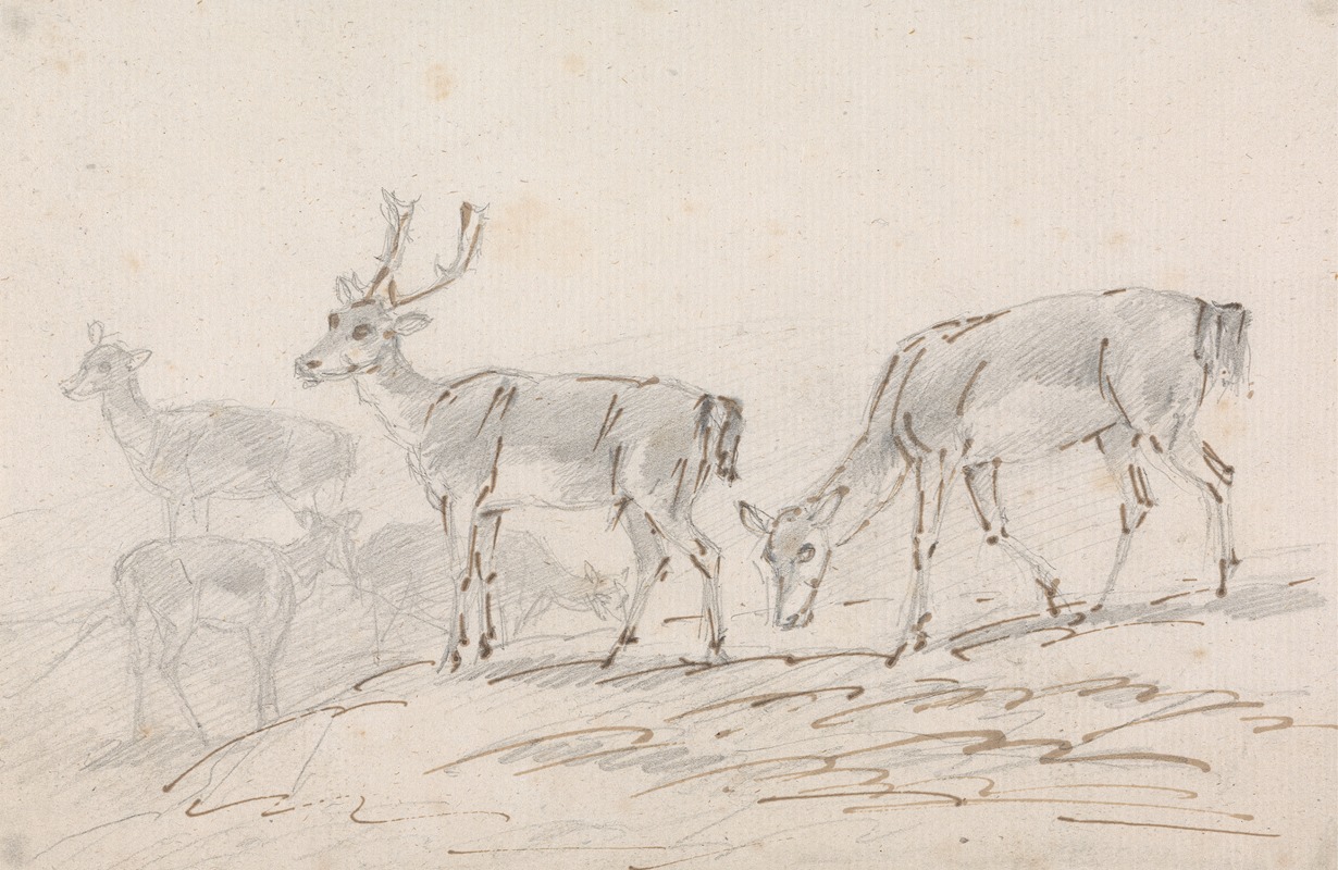 Five Deer by Сорей Гилпин — digital art print download