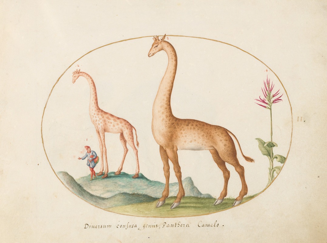 Plate 02; Two Giraffes with an Attendant — Joris Hoefnagel