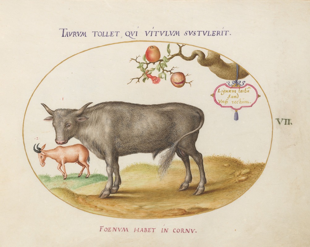A Bull and a Horned Animal — Joris Hoefnagel