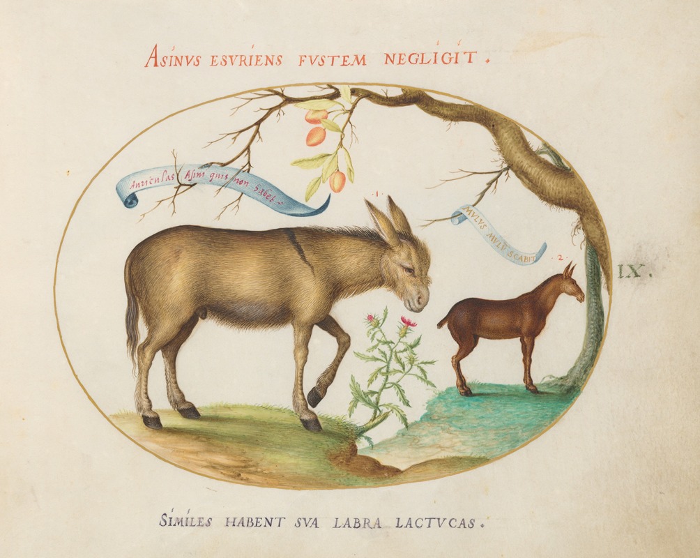 A Donkey and a Mule by Йорис Хефнагел, 1575-1590 — digital art print download