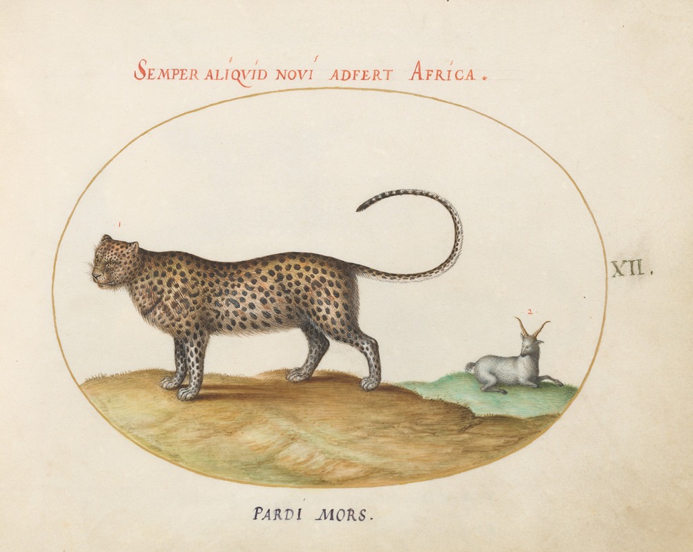 A Cheetah and a Wild Sheep by Йорис Хефнагел, 1575-1590 — digital art print download