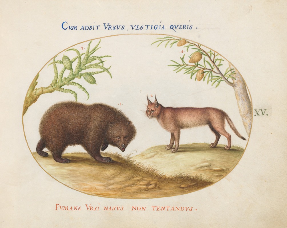 A Bear and a Lynx by Joris Hoefnagel, 1575-1590 — digital art print download