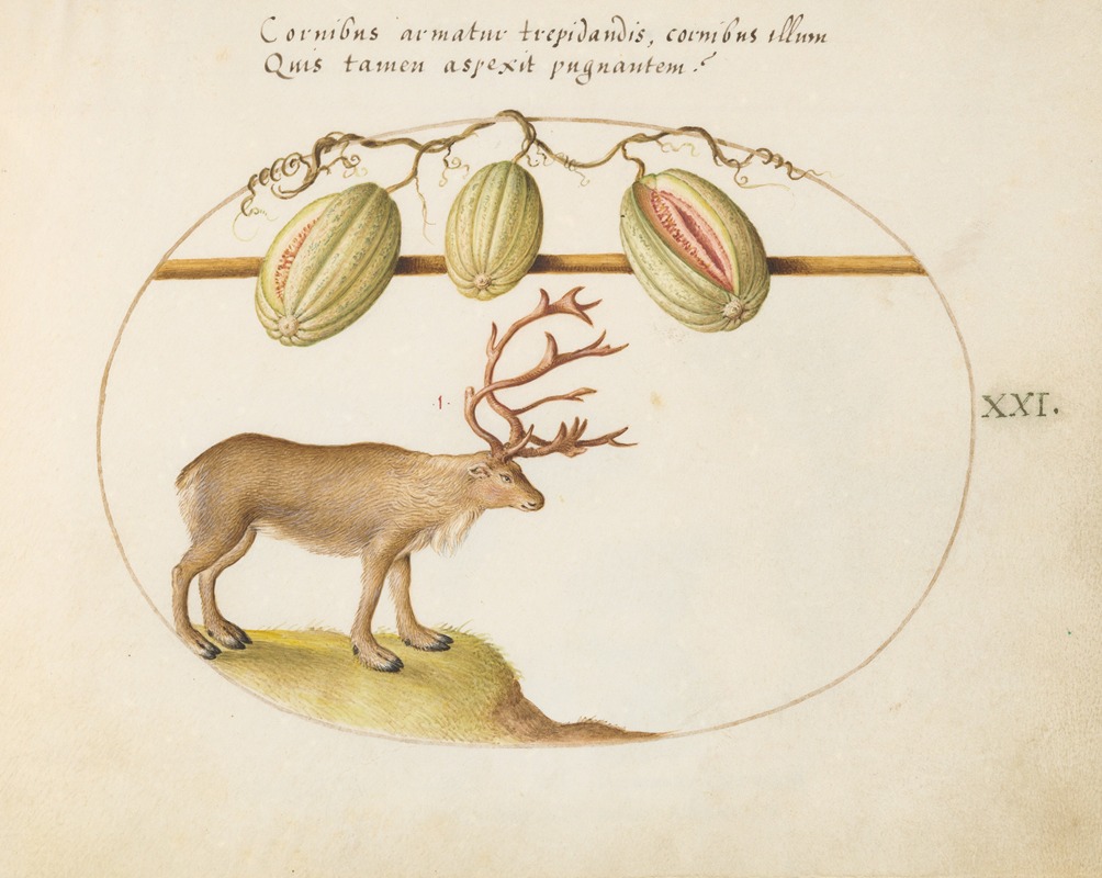 Reindeer with Melons by Joris Hoefnagel, 1575-1590 — digital art print download