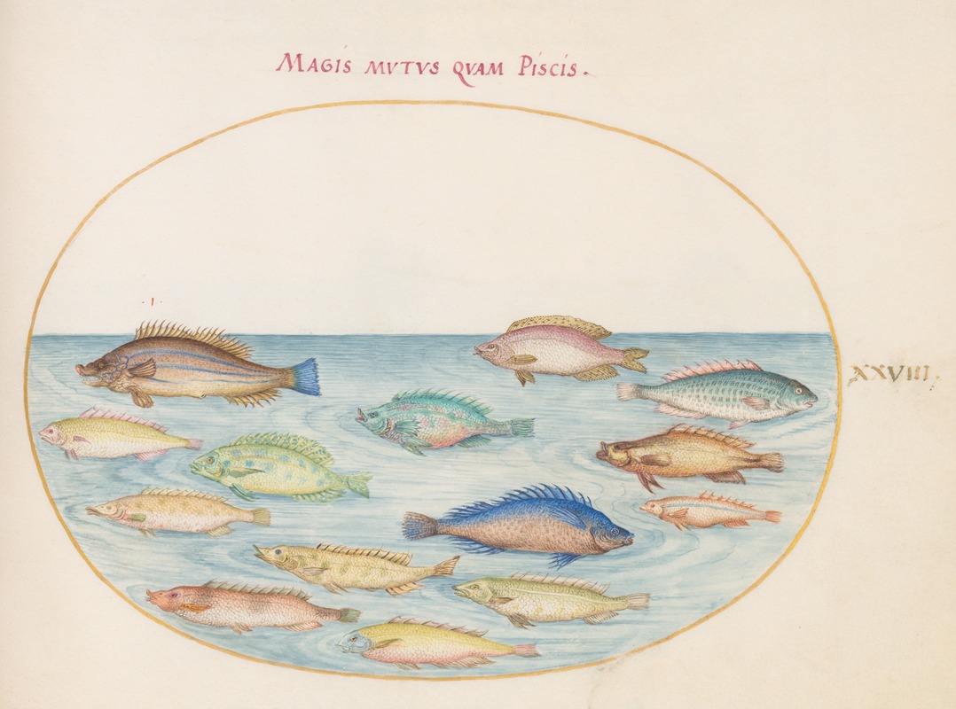 Plate 28; Sea Bream and Other Fish — Joris Hoefnagel
