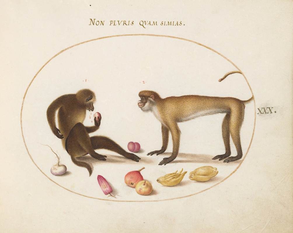 Two Monkeys by Йорис Хефнагел, 1575-1590 — digital art print download