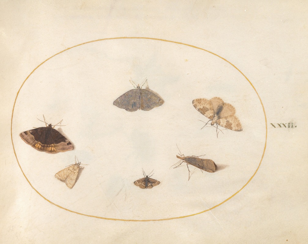 Plate 32; Six Moths by Йорис Хефнагел, 1575-1590 — digital art print download