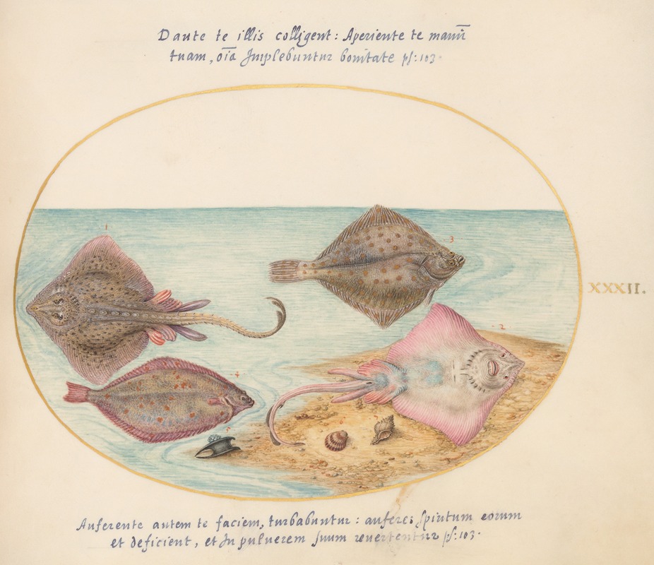 Plate 32; Skates with an Egg Case and Two Flat Fish by Йорис Хефнагел, 1575-1590 — digital art print download