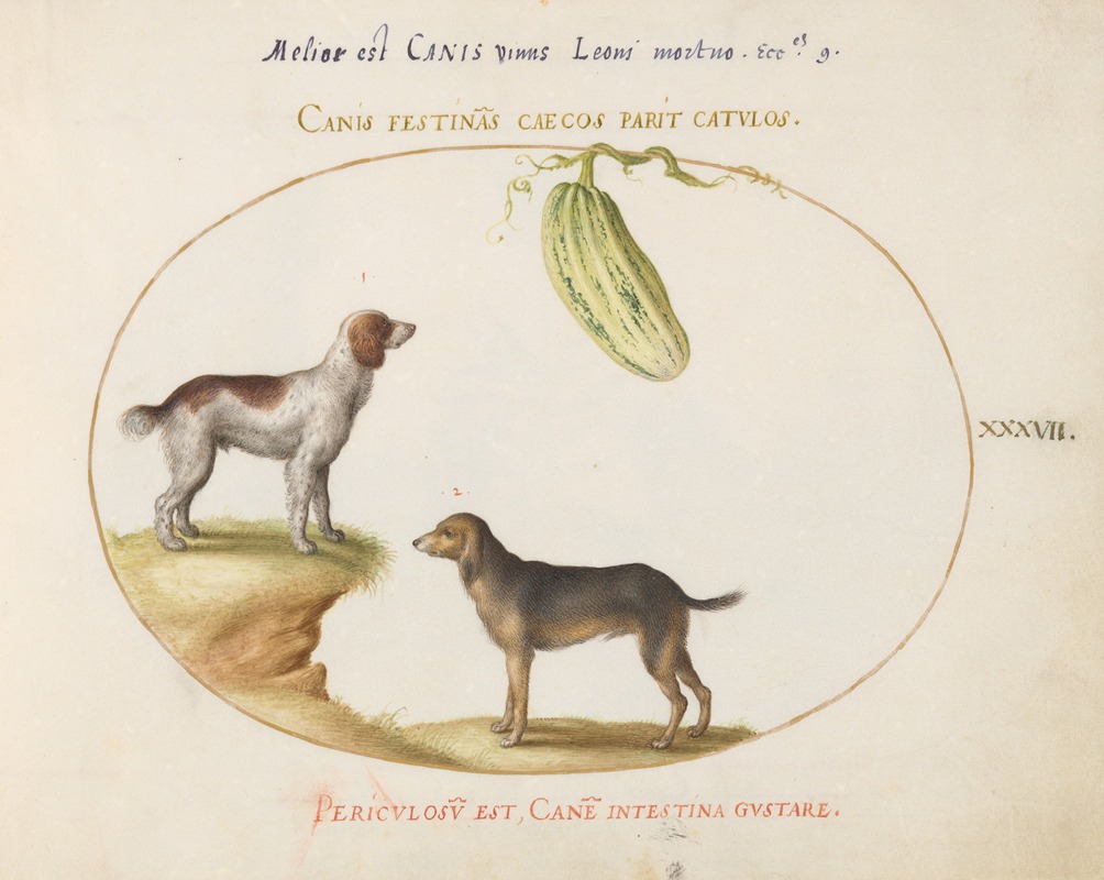 Two Spaniels with a Gourd by Йорис Хефнагел, 1575-1590 — digital art print download
