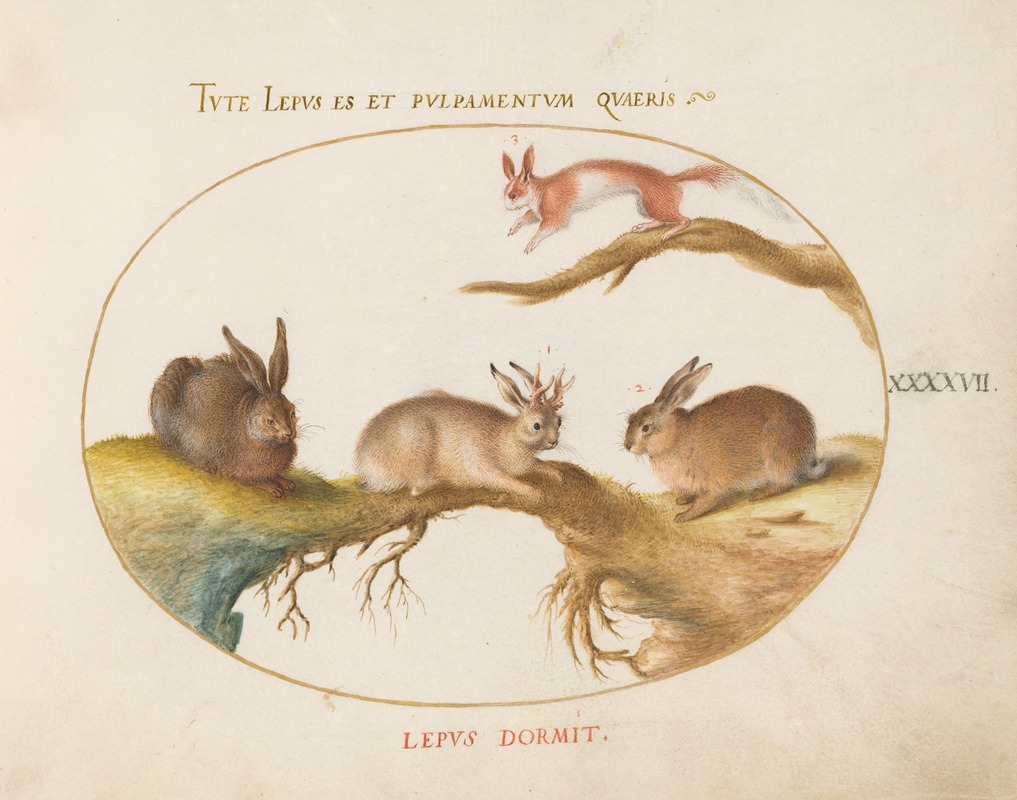 A Hare, 'Jackalope,' a Rabbit, and a Spotted Squirrel by Йорис Хефнагел, 1575-1590 — digital art print download