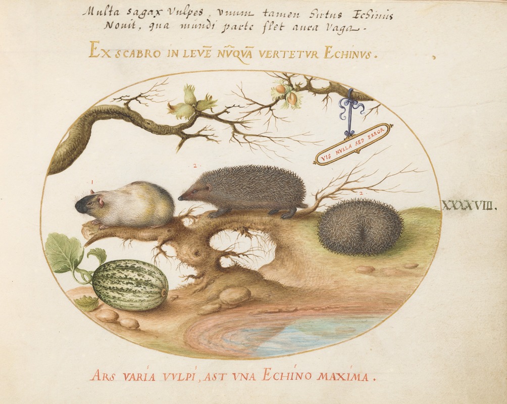 Guinea Pig and Hedgehogs with Melon and Cobnuts by Йорис Хефнагел, 1575-1590 — digital art print download