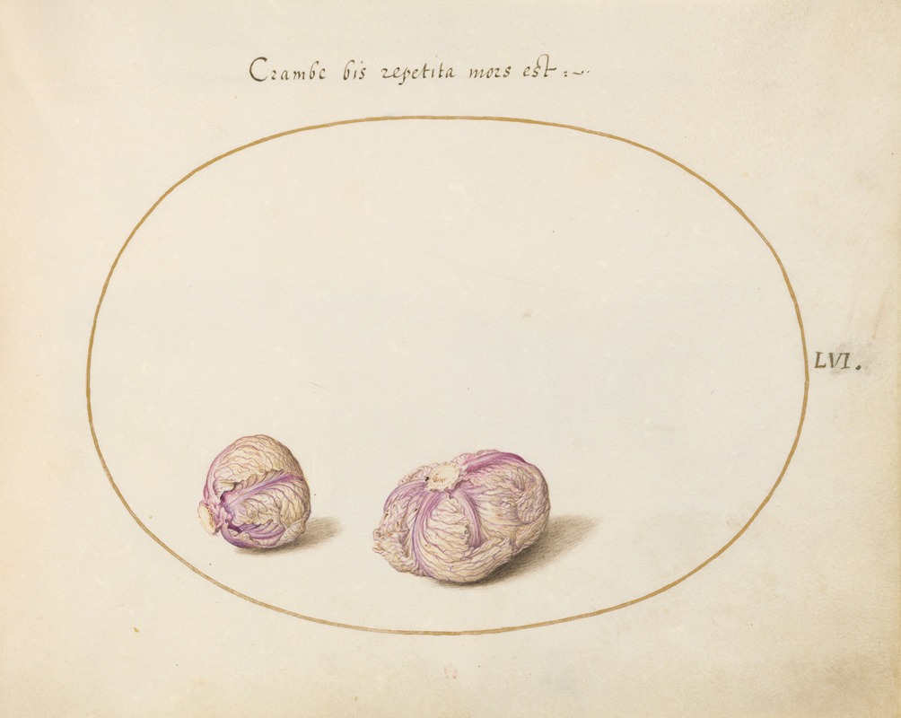 Two Heads of Cabbage by Йорис Хефнагел, 1575-1590 — digital art print download