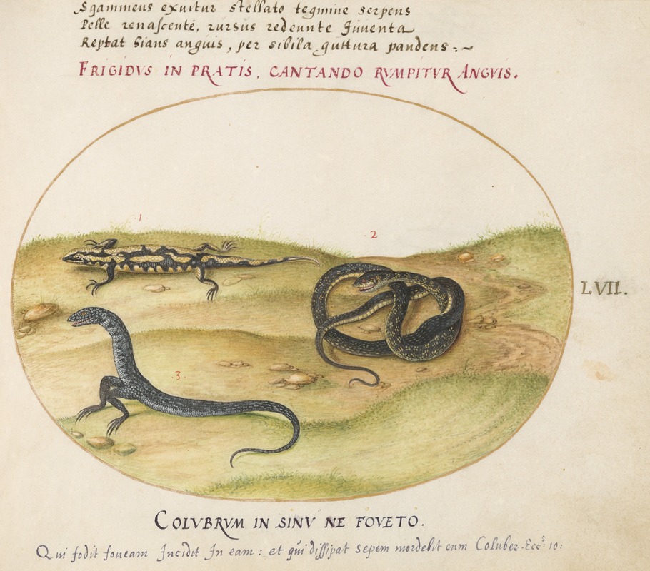 A Snake, a Fire Salamander, and a Snakelike Creature with Two Legs — Joris Hoefnagel
