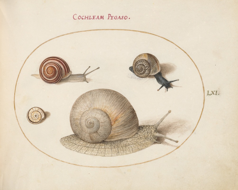 Four Snails by Йорис Хефнагел, 1575-1590 — digital art print download